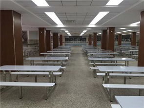 廣東鴻美佳家具廠專業(yè)定制不銹鋼餐桌椅 品質(zhì)、定制與價(jià)格解析