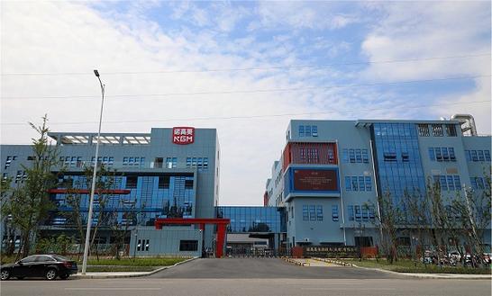 技術服務與食品進出口 企業合規經營范圍深度解讀